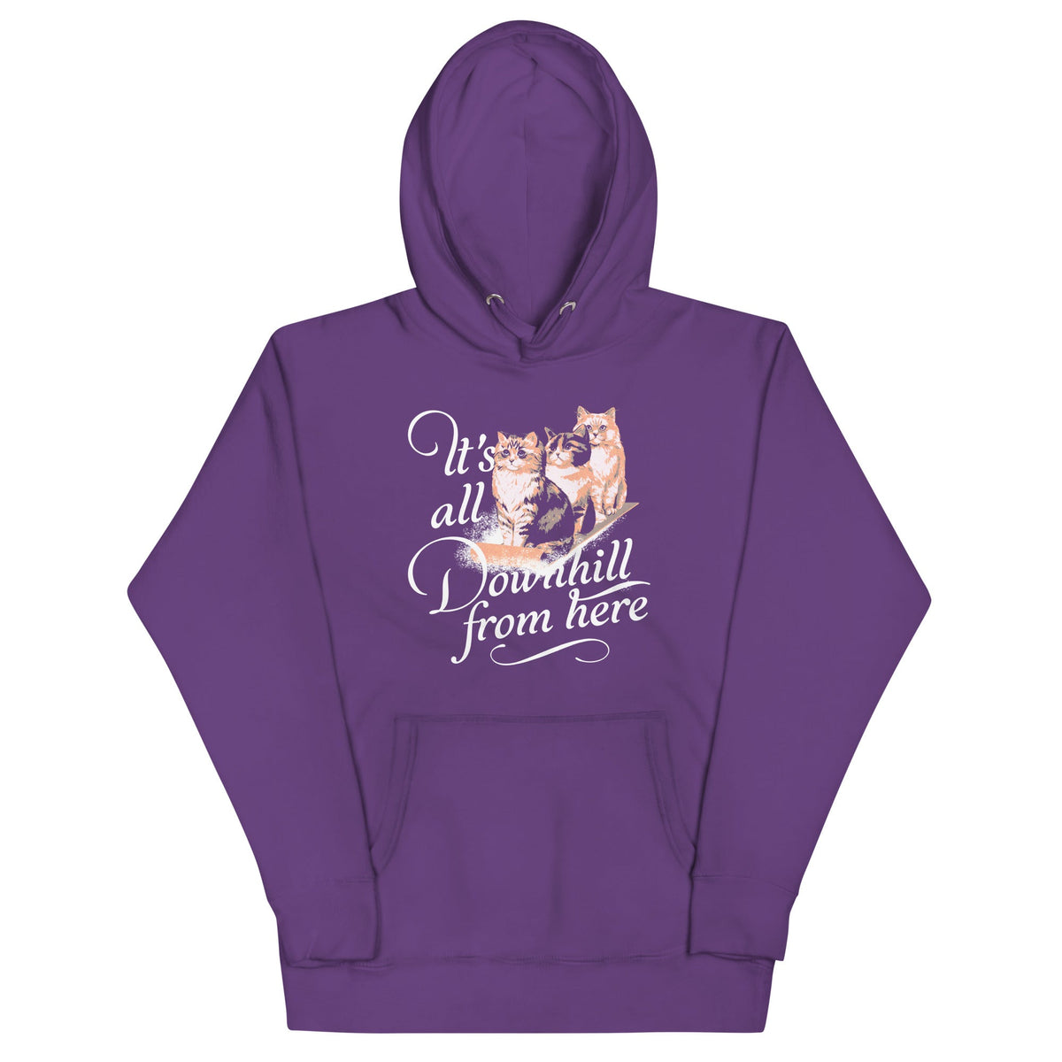 It's All Downhill From Here Unisex Hoodie product image 5