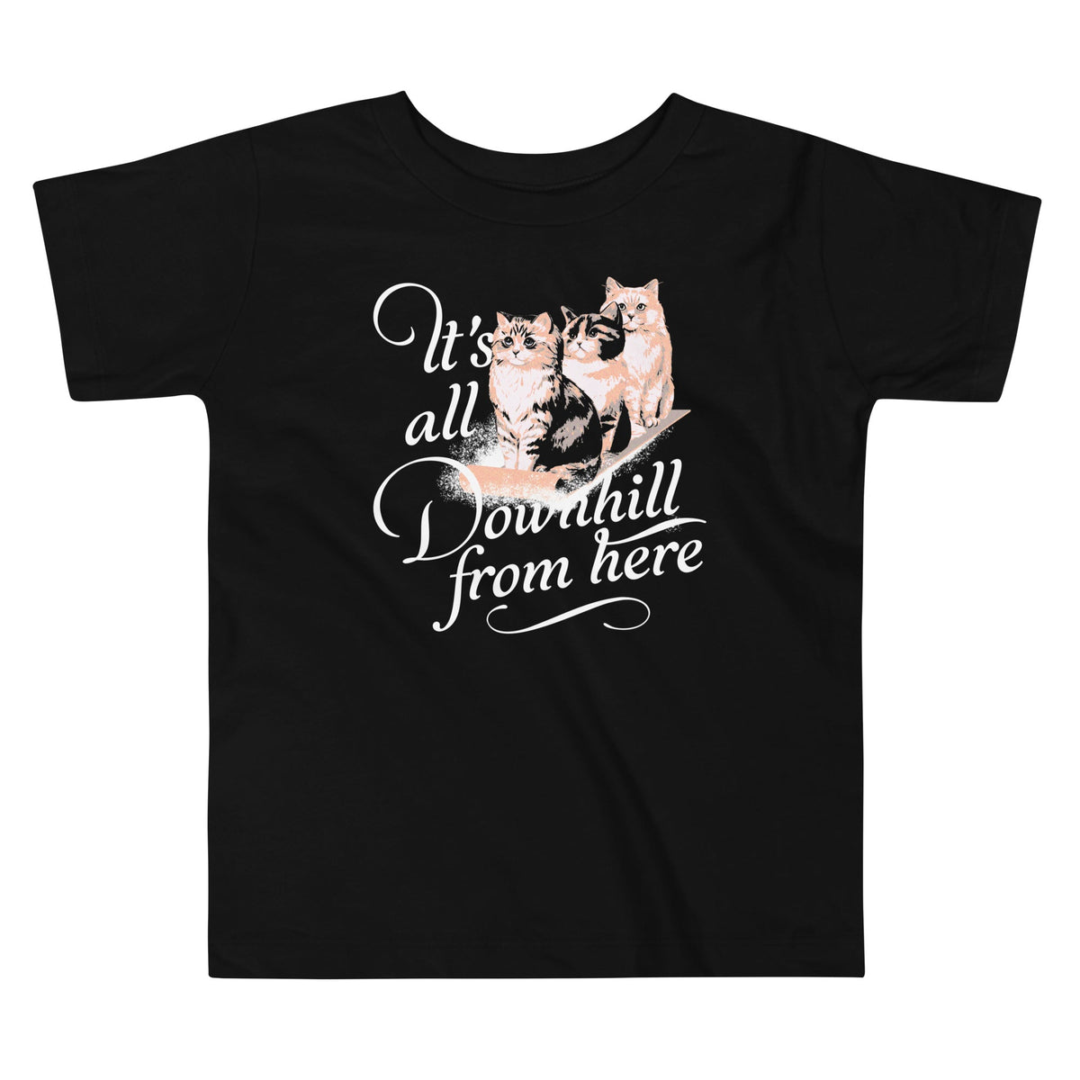 It's All Downhill From Here Kid's Toddler Tee product image 1