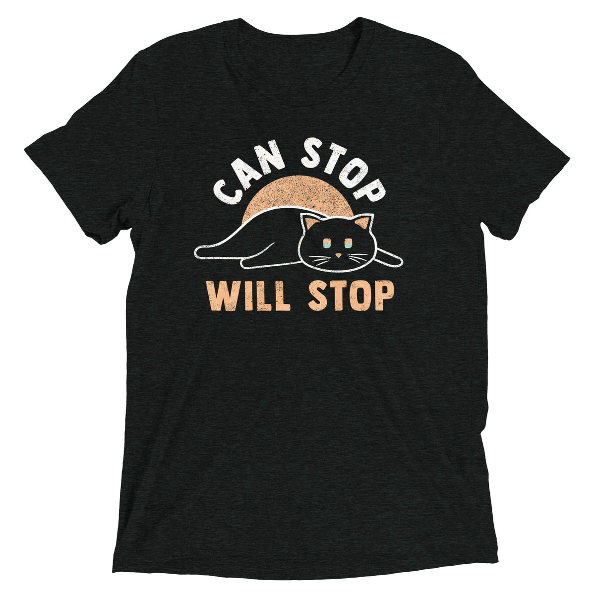 Can Stop Will Men's Tri-Blend Tee product image 1
