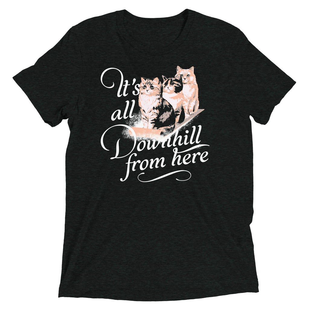 It's All Downhill From Here Men's Tri-Blend Tee product image 1