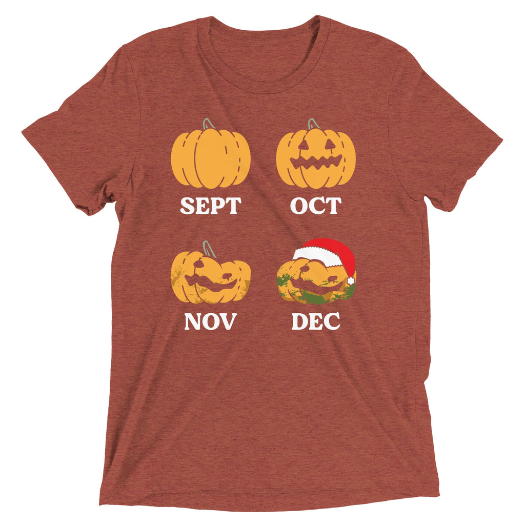 Pumpkin Months Men's Tri-Blend Tee product image 6