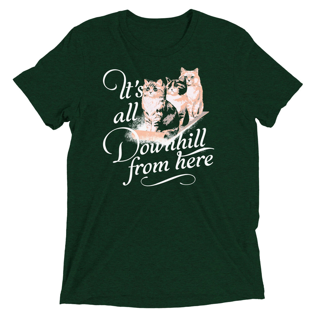 It's All Downhill From Here Men's Tri-Blend Tee product image 2