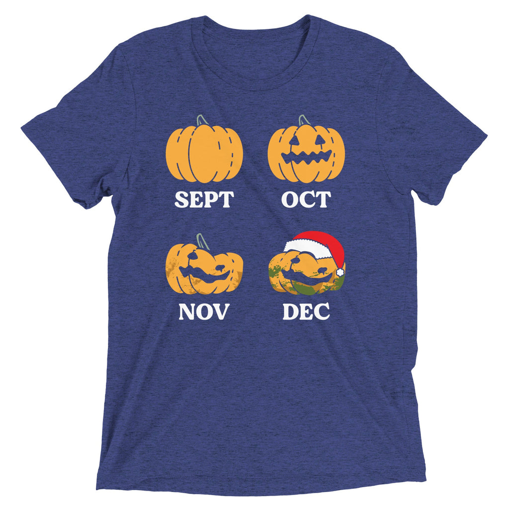 Pumpkin Months Men's Tri-Blend Tee product image 4