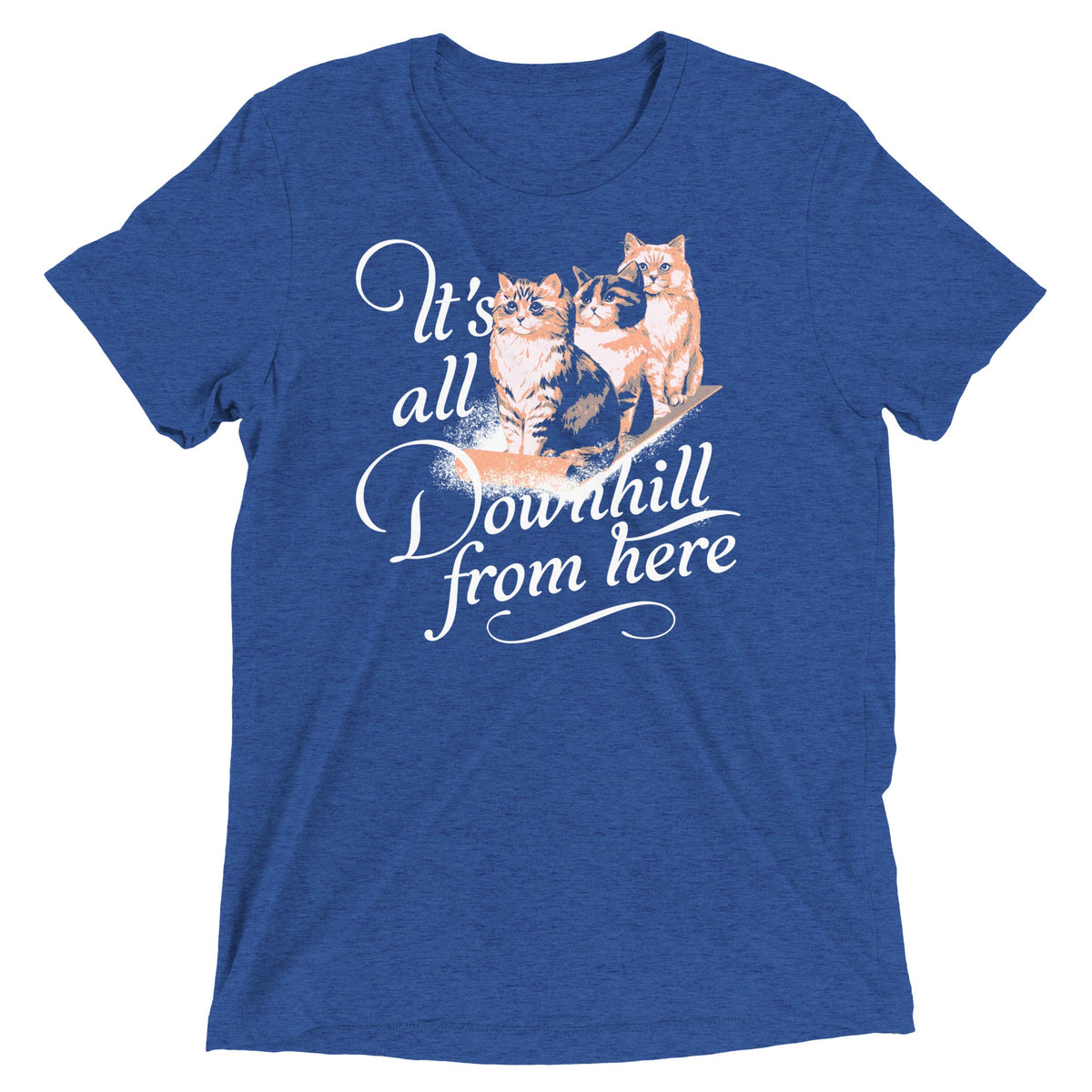 It's All Downhill From Here Men's Tri-Blend Tee product image 3