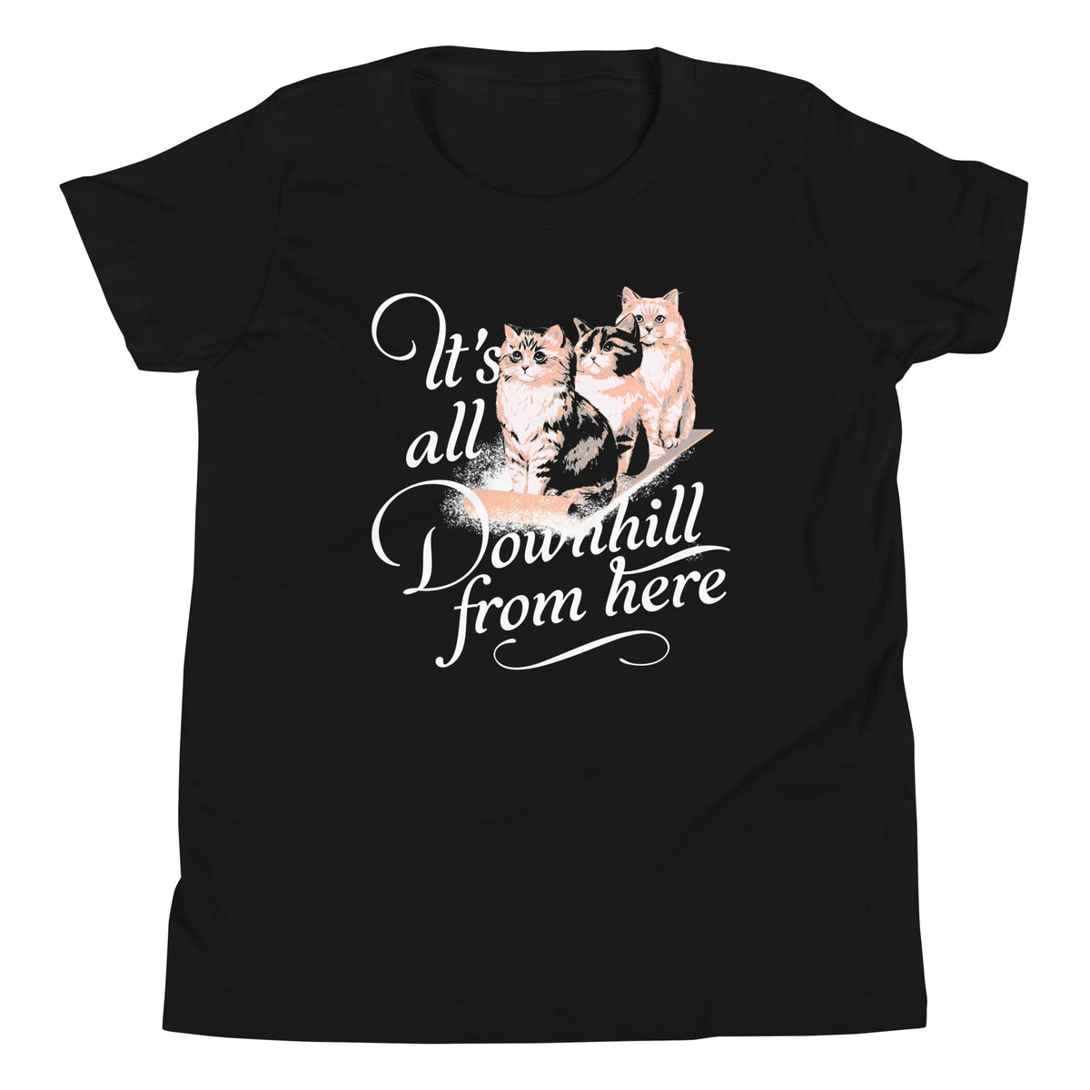 It's All Downhill From Here Kid's Youth Tee product image 1