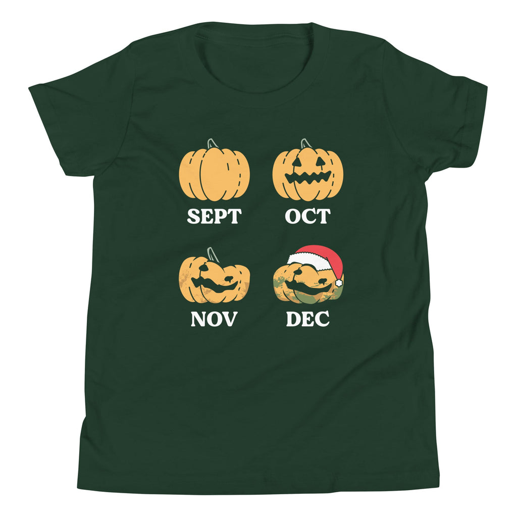 Pumpkin Months Kid's Youth Tee product image 1