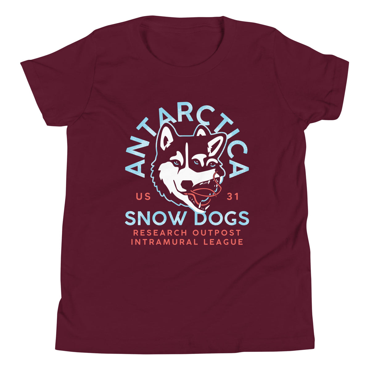 Antarctica Snow Dogs Kid's Youth Tee product image 3