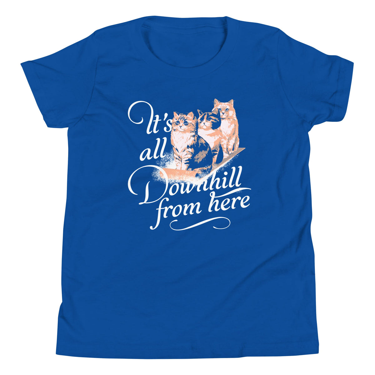 It's All Downhill From Here Kid's Youth Tee product image 5