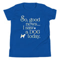So Good News I Saw A Dog Today Kid's Youth Tee product image 1